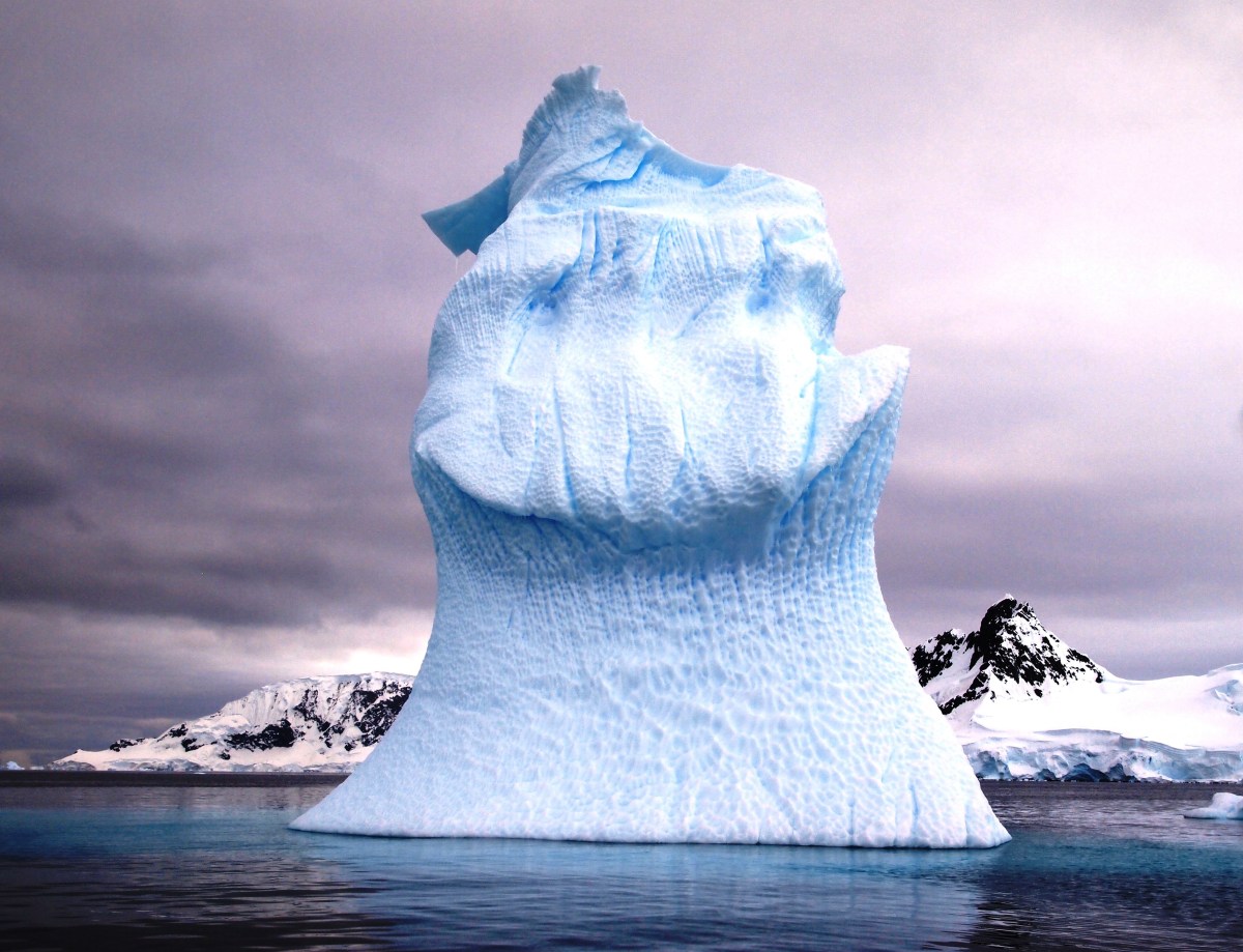 Day4Forsyth (11).JPG