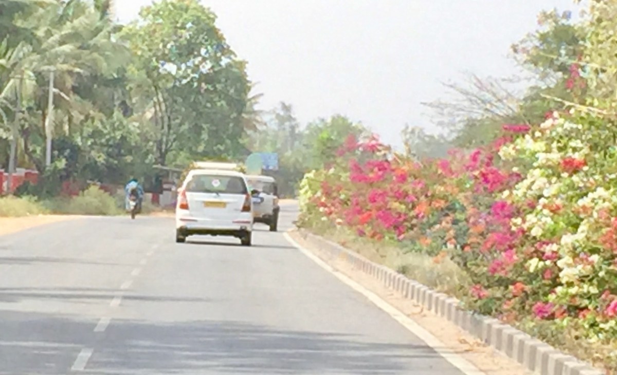 FullSizeRender 7.jpg