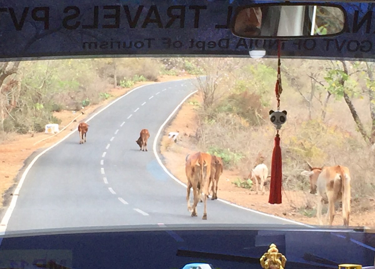 FullSizeRender 13.jpg